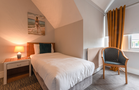 Single Room The Plough Hotel